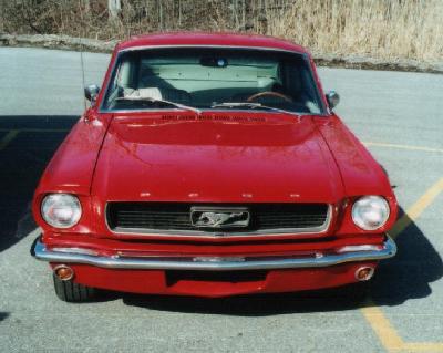 Mustang1.jpg (24077 bytes)