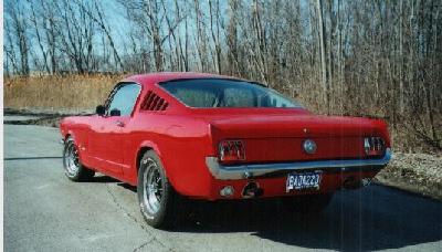 Mustang2.jpg (22314 bytes)