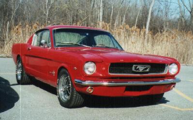 Mustang3.jpg (21642 bytes)